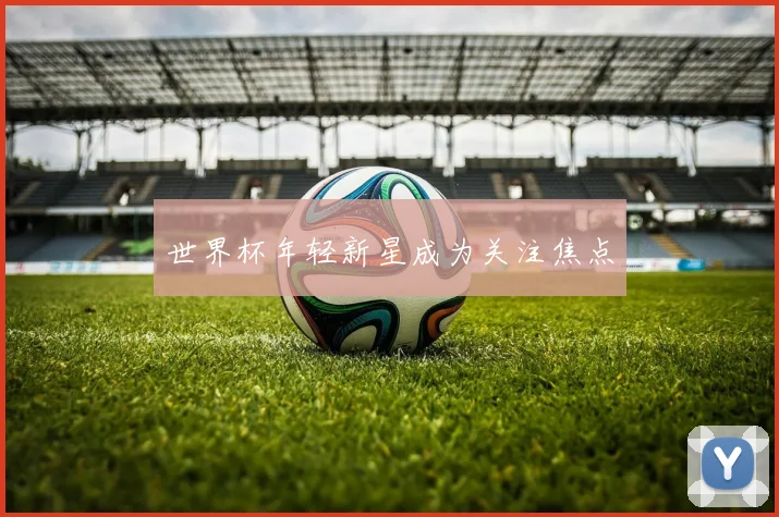 世界杯年轻新星成为关注焦点