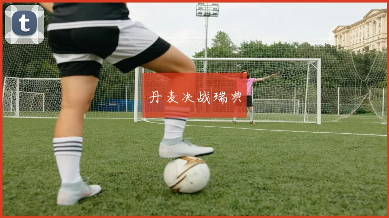 丹麦决战瑞典