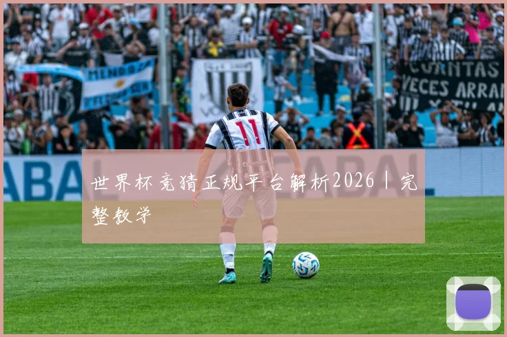 世界杯竞猜正规平台解析2026｜完整教学