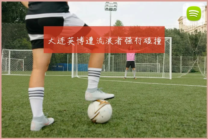 大连英博遭流浪者强行碰撞